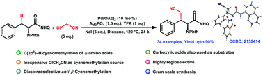 Graphical abstract: Diastereoselective palladium-catalyzed C(sp3)–H cyanomethylation of amino acid and carboxylic acid derivatives