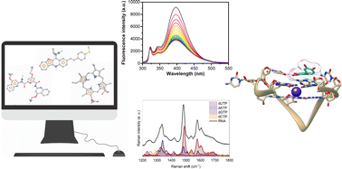 Graphical abstract: Ligand-based drug repurposing strategy identified SARS-CoV-2 RNA G-quadruplex binders