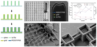 Graphical abstract: Two-photon polymerization lithography enabling the fabrication of PEDOT:PSS 3D structures for bioelectronic applications