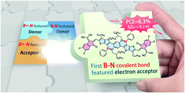Graphical abstract: An electron acceptor featuring a B–N covalent bond and small singlet–triplet gap for organic solar cells