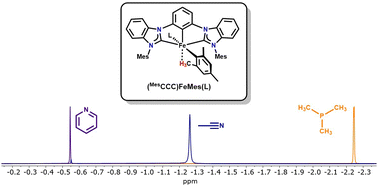 Graphical abstract: γ-Agostic interactions in (MesCCC)Fe–Mes(L) complexes