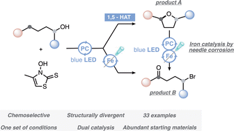 Graphical abstract: Utilizing a needle as a source of iron in synergistic dual photoredox catalytic generation of alkoxy radicals