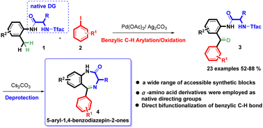 Graphical abstract: Palladium-catalyzed native α-amino acid derivative-directed arylation/oxidation of benzylic C–H bonds: synthesis of 5-aryl-1,4-benzodiazepin-2-ones