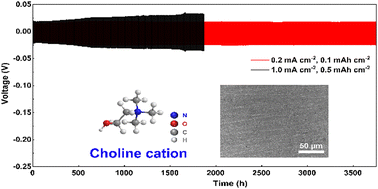 Graphical abstract: Choline chloride enhances the electrochemical stability of zinc plating/stripping