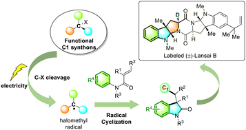 Graphical abstract: Electrochemical collective synthesis of labeled pyrroloindoline alkaloids with Freon-type methanes as functional C1 synthons