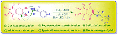 Graphical abstract: Visible-light-promoted iron-catalyzed C–H functionalization of 1,4-naphthoquinones via oxidative coupling with sulfoximines