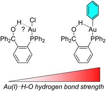 Graphical abstract: Augmenting metallobasicity to modulate gold hydrogen bonding