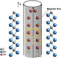 Graphical abstract: Developing a dynamic magnetic flux template to guide 1D nanomaterial growth