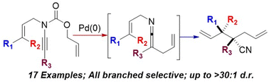 Graphical abstract: Highly diastereo- and branched-selective rearrangement of substituted N-alloc-N-allyl ynamides