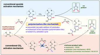 Graphical abstract: Polymerization-like mechanism for fixation of CO2 with epoxides by multifunctional organocatalysts