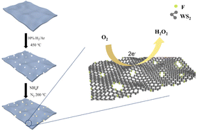 Graphical abstract: Fluorine dopants in tungsten sulfide boost the efficiency of H2O2 electro-synthesis via the oxygen reduction reaction