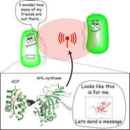 Graphical abstract: Carrier protein mediated cargo sensing in quorum signal synthases