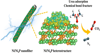 Graphical abstract: An efficient heterogeneous Ni/Ni2P catalyst for urea-assisted water electrolysis