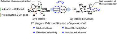 Graphical abstract: Site-selective C–H alkylation of myo-inositol via organic photoredox catalysis