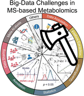 Graphical abstract: Addressing big data challenges in mass spectrometry-based metabolomics