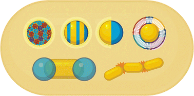 Graphical abstract: Site-selective modification of metallic nanoparticles