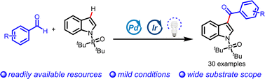 Graphical abstract: Palladium metallaphotoredox-catalyzed 3-acylation of indole derivatives