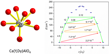 Graphical abstract: Dy3+ single ion magnet in the extended inorganic solid Ca(Y,Dy)AlO4