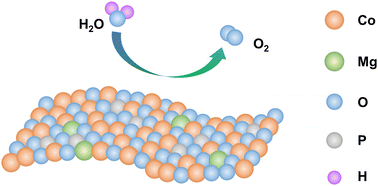 Graphical abstract: Lewis acid Mg2+-doped cobalt phosphate nanosheets for enhanced electrocatalytic oxygen evolution reaction