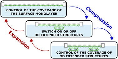 Graphical abstract: Polyelectrolyte/surfactant films: from 2D to 3D structural control