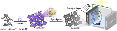 Graphical abstract: A helical polypyrrole nanotube interwoven zeolitic imidazolate framework and its derivative as an oxygen electrocatalyst