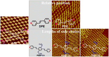 Graphical abstract: Minor adjustments in the chemical structures of pyridine derivatives induced different co-assemblies by O–H⋯N hydrogen bonds