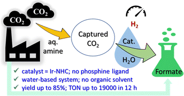 Graphical abstract: An all-aqueous and phosphine-free integrated amine-assisted CO2 capture and catalytic conversion to formic acid