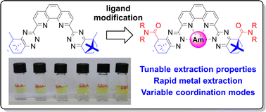 Graphical abstract: New route to amide-functionalized N-donor ligands enables improved selective solvent extraction of trivalent actinides