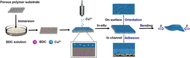 Graphical abstract: In situ fabrication of bendable epitaxial metal–organic framework films via spraying