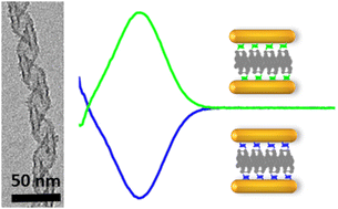 Graphical abstract: Cooperative interaction between organic and inorganic moieties in hybrid silica nanohelices for enantioselective interaction