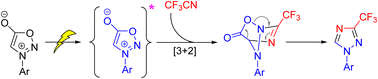 Graphical abstract: Regioselective synthesis of 3-trifluoromethyl 1,2,4-triazoles via photocycloaddition of sydnone with CF3CN