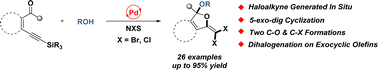 Graphical abstract: Palladium-catalyzed acetalization/cyclization of enynones with alcohols: rapid access to functionalized dihaloalkenyl dihydrofurans