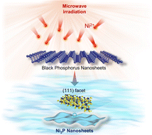 Graphical abstract: Rapid microwave-assisted synthesis of Ni2P nanosheets from black phosphorus