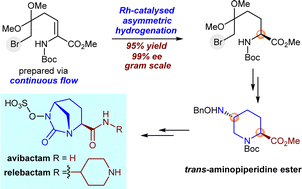 Graphical abstract: Catalytic asymmetric total synthesis of diazabicyclooctane β-lactamase inhibitors avibactam and relebactam