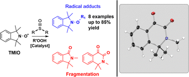 Graphical abstract: Reactions of sulfoxides with reactive oxygen species to reveal the radical chemistry of pollution-derived particulate matter
