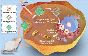 Graphical abstract: An endoperoxide-containing covalent organic framework as a singlet oxygen reservoir for cancer therapy