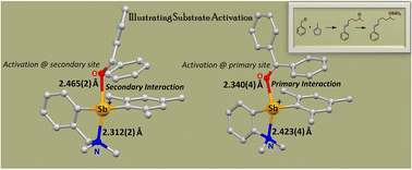 Graphical abstract: Crystallographic evidence for a continuum and reversal of roles in primary–secondary interactions in antimony Lewis acids: applications in carbonyl activation