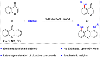 Graphical abstract: Regioselective peri-C–H selenylation of aromatic compounds with weakly coordinating ketone groups