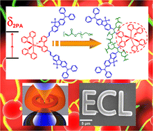 Graphical abstract: Micropatterning of electrochemiluminescent polymers based on multipolar Ru-complex two-photon initiators