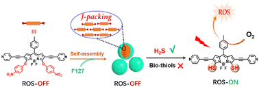 Graphical abstract: Nano-assemblies from J-aggregated dyes to improve the selectivity of a H2S-activatable photosensitizer