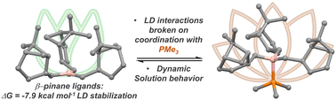 Graphical abstract: Terpene dispersion energy donor ligands in borane complexes