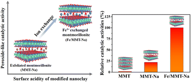 Graphical abstract: Surface acidity modulates the peroxidase-like activity of nanoclay