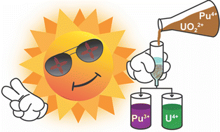 Graphical abstract: Photochemical separation of plutonium from uranium