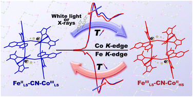 Graphical abstract: Metal-to-metal electron transfer in a cyanido-bridged {Fe2Co2} square complex followed by X-ray diffraction and absorption techniques