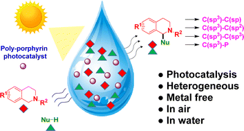 Graphical abstract: Metal-free polyporphyrin based photocatalysts for the functionalization of C(sp3)–H bonds in water