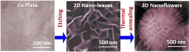 Graphical abstract: Direct growth of three-dimensional nanoflower-like structures from flat metal surfaces