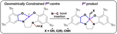 Graphical abstract: Intramolecular C–N bond activation by a geometrically constrained PIII-centre