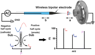 Graphical abstract: Rapid identification of the short-lived intermediates in alternating-current electrolysis by mass spectrometry