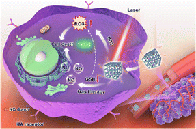 Graphical abstract: GSH-Triggered NO releasing nanoplatform based on a covalent organic framework for “1 + 1 > 2” synergistic cancer therapy