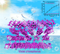 Graphical abstract: Violet phosphorus: an effective metal-free elemental photocatalyst for hydrogen evolution